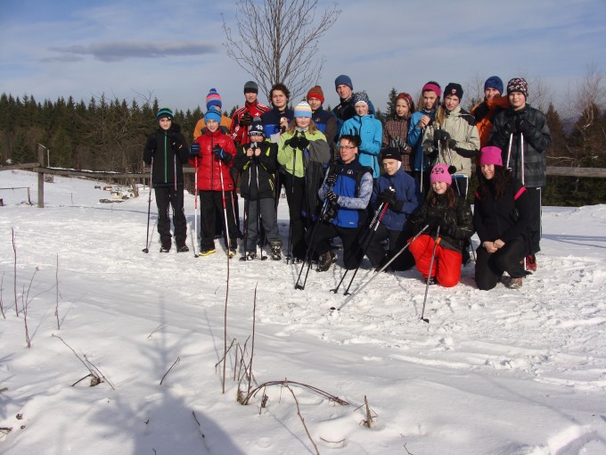 Trestik2014